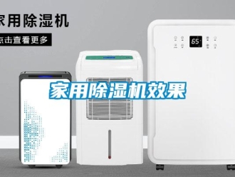 行业新闻家用除湿机效果