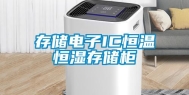 存储电子IC恒温恒湿存储柜