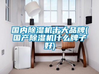 企业新闻国内除湿机十大品牌(国产除湿机什么牌子好)
