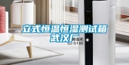 立式恒温恒湿测试箱武汉厂