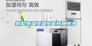 别墅恒温恒湿恒氧恒静恒净