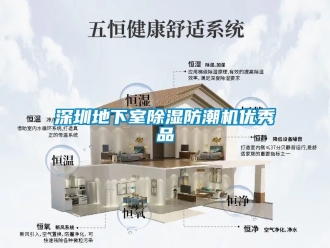 行业新闻深圳地下室除湿防潮机优秀品