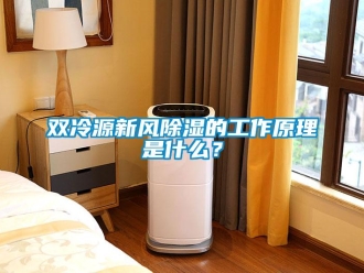 企业新闻双冷源新风除湿的工作原理是什么？