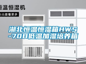 知识百科湖北恒温恒湿箱HWS-70B低温加湿培养箱