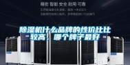 除湿机什么品牌的性价比比较高，哪个牌子最好