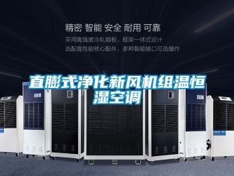 知识百科直膨式净化新风机组温恒湿空调