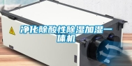 净化除酸性除湿加湿一体机