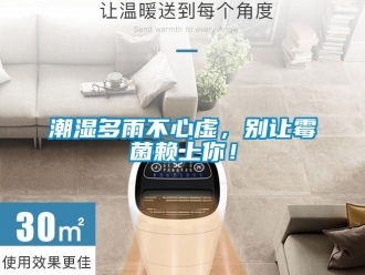 企业新闻潮湿多雨不心虚，别让霉菌赖上你！