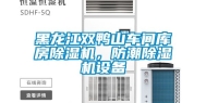黑龙江双鸭山车间库房除湿机，防潮除湿机设备