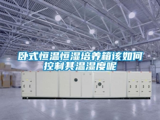 知识百科卧式恒温恒湿培养箱该如何控制其温湿度呢