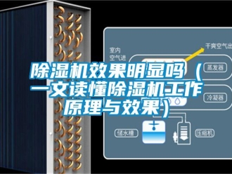 行业新闻除湿机效果明显吗（一文读懂除湿机工作原理与效果）
