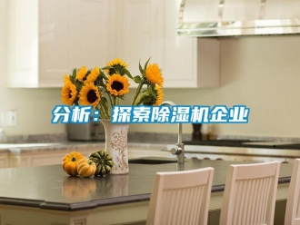 企业新闻分析：探索除湿机企业
