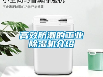 常见问题高效防潮的工业除湿机介绍
