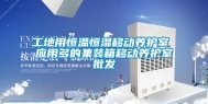 工地用恒温恒湿移动养护室 应用多的集装箱移动养护室批发