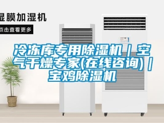 行业新闻冷冻库专用除湿机｜空气干燥专家(在线咨询)｜宝鸡除湿机