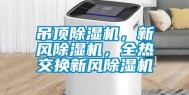 吊顶除湿机，新风除湿机，全热交换新风除湿机