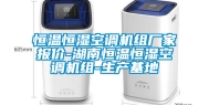 恒温恒湿空调机组厂家报价-湖南恒温恒湿空调机组-生产基地