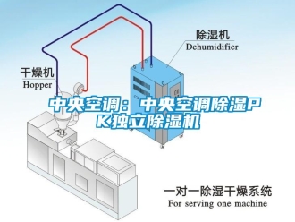 行业新闻中央空调：中央空调除湿PK独立除湿机
