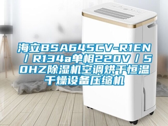 知识百科海立BSA645CV-R1EN／R134a单相220V／50HZ除湿机空调烘干恒温干燥设备压缩机