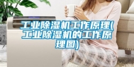 工业除湿机工作原理(工业除湿机的工作原理图)