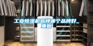 工业除湿机品牌哪个品牌好_重复