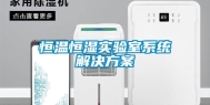 恒温恒湿实验室系统解决方案