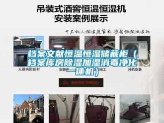 知识百科档案文献恒温恒湿储藏柜（档案库房除湿加湿消毒净化一体机）