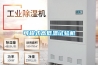 可程式高低温试验机