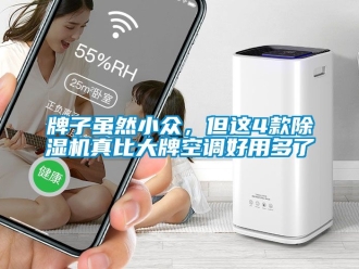 行业新闻牌子虽然小众，但这4款除湿机真比大牌空调好用多了