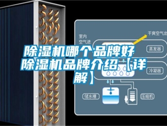 企业新闻除湿机哪个品牌好 除湿机品牌介绍【详解】