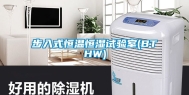 步入式恒温恒湿试验室(BTHW)