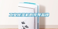 工业除湿机的领导品牌
