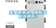 家里很潮湿，用除湿机有用吗？