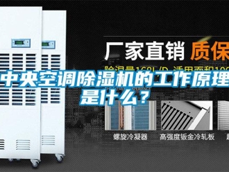 行业新闻中央空调除湿机的工作原理是什么？