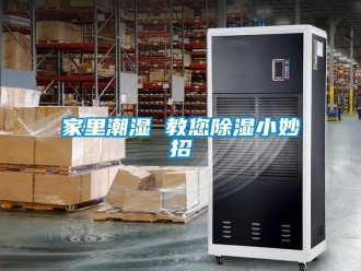 行业新闻家里潮湿 教您除湿小妙招