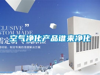 行业新闻空气净化产品谁来净化