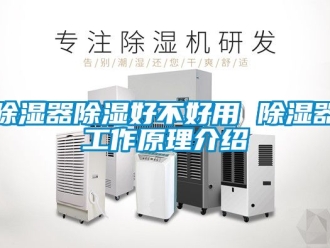行业新闻除湿器除湿好不好用 除湿器工作原理介绍