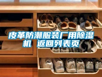 行业新闻皮革防潮服装厂用除湿机 返回列表页