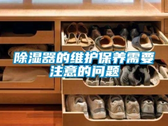 行业新闻除湿器的维护保养需要注意的问题