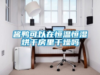 知识百科酱鸭可以在恒温恒湿烘干房里干燥吗