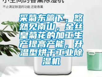企业新闻采菊东篱下，悠然见南山，金丝皇菊花的加工生产提高产能，升温型烘干工业除湿机