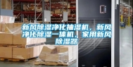 新风除湿净化抽湿机，新风净化除湿一体机，家用新风除湿器