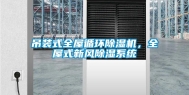 吊装式全屋循环除湿机，全屋式新风除湿系统