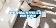 工业除湿机如何选择品牌 返回列表页