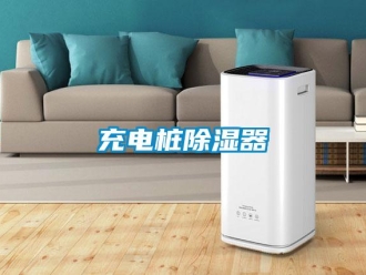 企业新闻充电桩除湿器