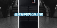 娄底新风净化除湿机