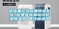 供应集控式顶置除湿系统 配电室除潮母线桥架除湿器 雾化除湿器