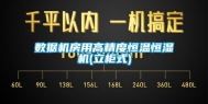 数据机房用高精度恒温恒湿机(立柜式)