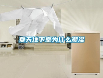 企业新闻夏天地下室为什么潮湿