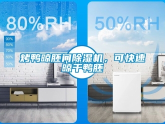 行业新闻烤鸭晾胚间除湿机，可快速晾干鸭胚